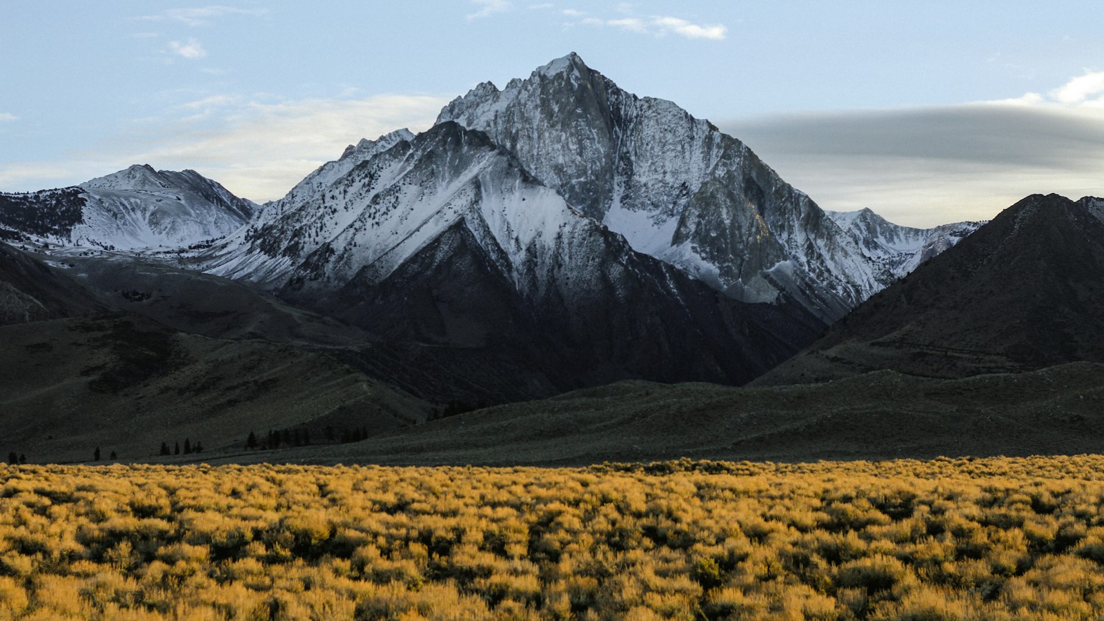 Snow-capped alpine peak rising above golden high meadow and dark foothills under a pale blue sky