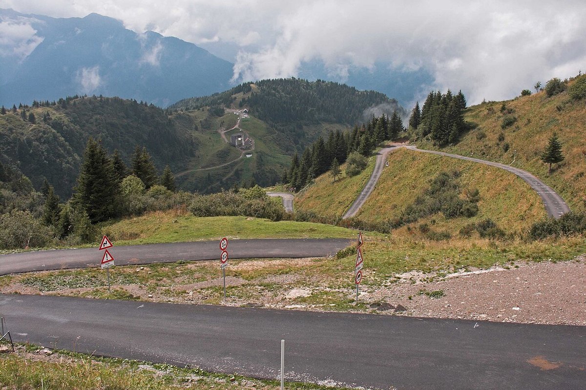 The top of the road up Monte Zoncolan: fresh tarmac and Giro-style road signs in the foreground, with the road curving up a grassy slope between fir trees and green Carnic mountains under low cloud behind
